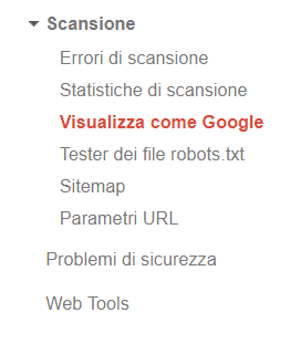 Indicizzazione tramite la funzione "Visualizza come Google"